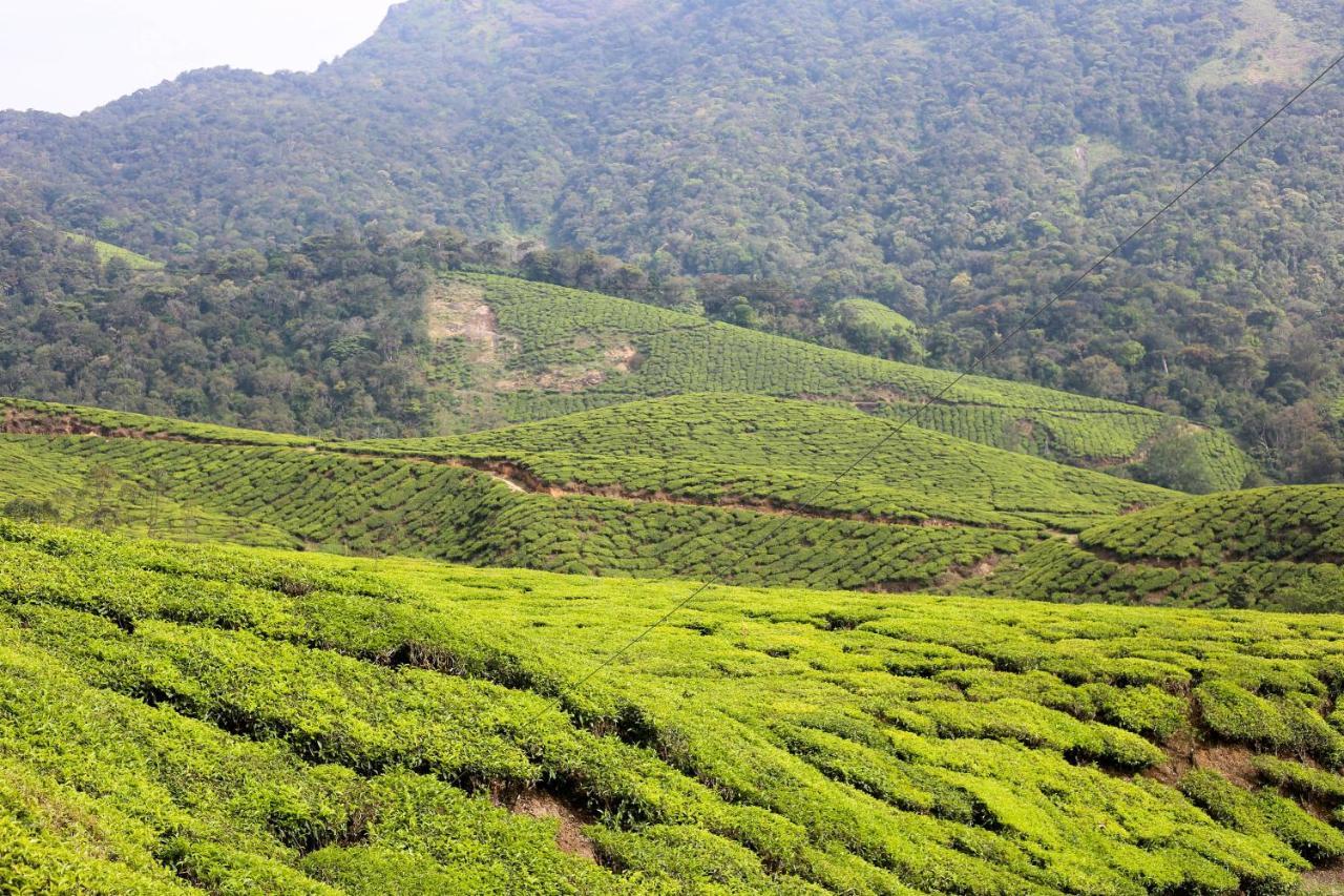 Green Garden Ayurvedic Resort & Green House 瓦尔卡拉 外观 照片